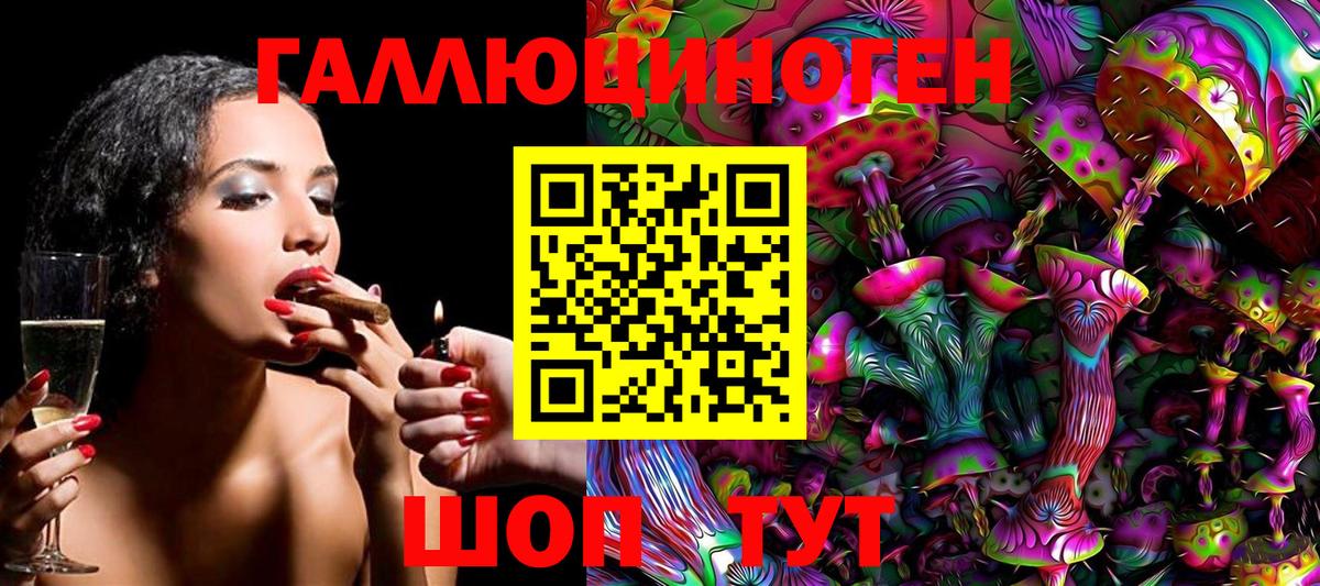 Псилоцибиновые грибы Psilocybine cubensis Чебоксары